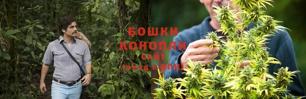 скорость Семилуки