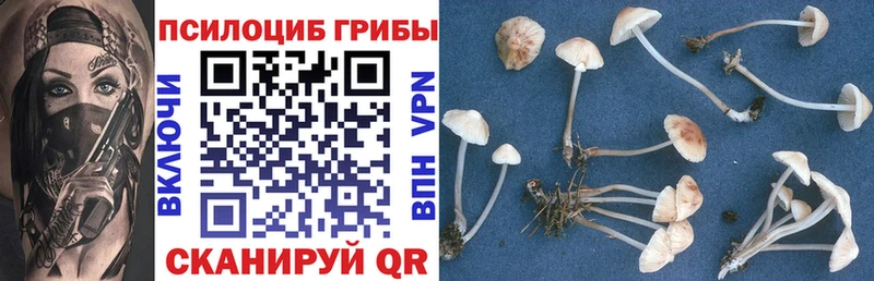 Купить где  Спасск  Галлюциногенные грибы Psilocybine cubensis